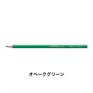 STABILO スタビロ アクアカラー 12本セット 色鉛筆 2.8mm 水彩色鉛筆(オペークグリーン/2-536)