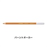STABILO スタビロ カーブオテロ 12本セット 色鉛筆 4.4mm 水彩パステル色鉛筆(バーントオーカー/620)