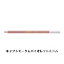 STABILO スタビロ カーブオテロ 12本セット 色鉛筆 4.4mm 水彩パステル色鉛筆(キャプトモータムバイオレットミドル/642)