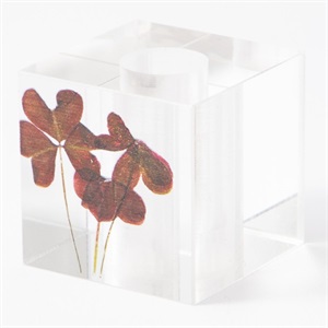 toumei 押花 歯ブラシホルダー