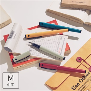パイロット ライティブ 万年筆 M (中字) 限定色