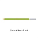 STABILO スタビロ カーブオテロ 12本セット 色鉛筆 4.4mm 水彩パステル色鉛筆(リーフグリーンミドル/570)