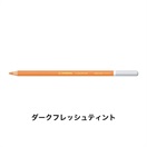 STABILO スタビロ カーブオテロ 12本セット 色鉛筆 4.4mm 水彩パステル色鉛筆(ダークフレッシュティント/680)