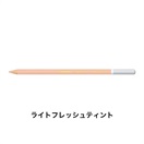 STABILO スタビロ カーブオテロ 12本セット 色鉛筆 4.4mm 水彩パステル色鉛筆(ライトフレッシュティント/681)