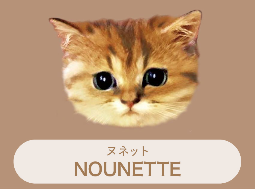 ヌネット