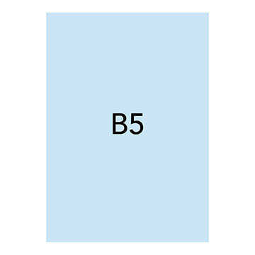 B5
