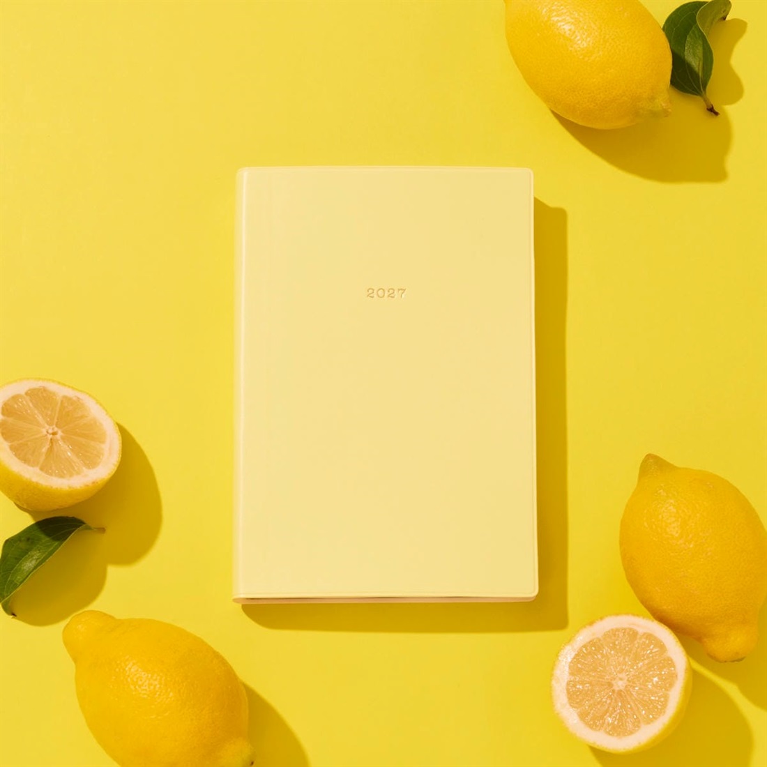 Nuance Color — Daily, B6 Slim, January 2027 Start